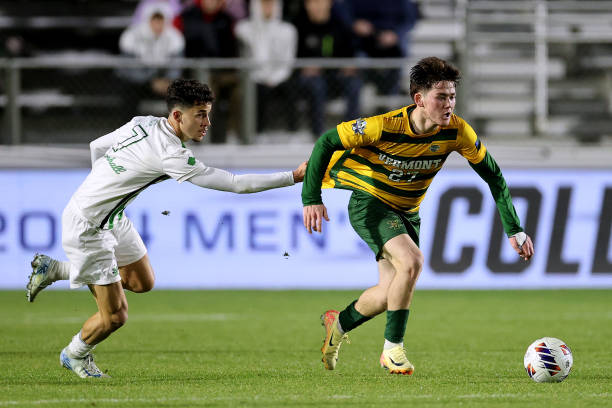 的文化嵌入 的文化嵌入